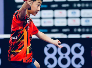 My Paddle, My Rhythm — William’s Table Tennis Setup