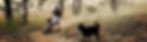 99284152_2169738483169887_71964321693449