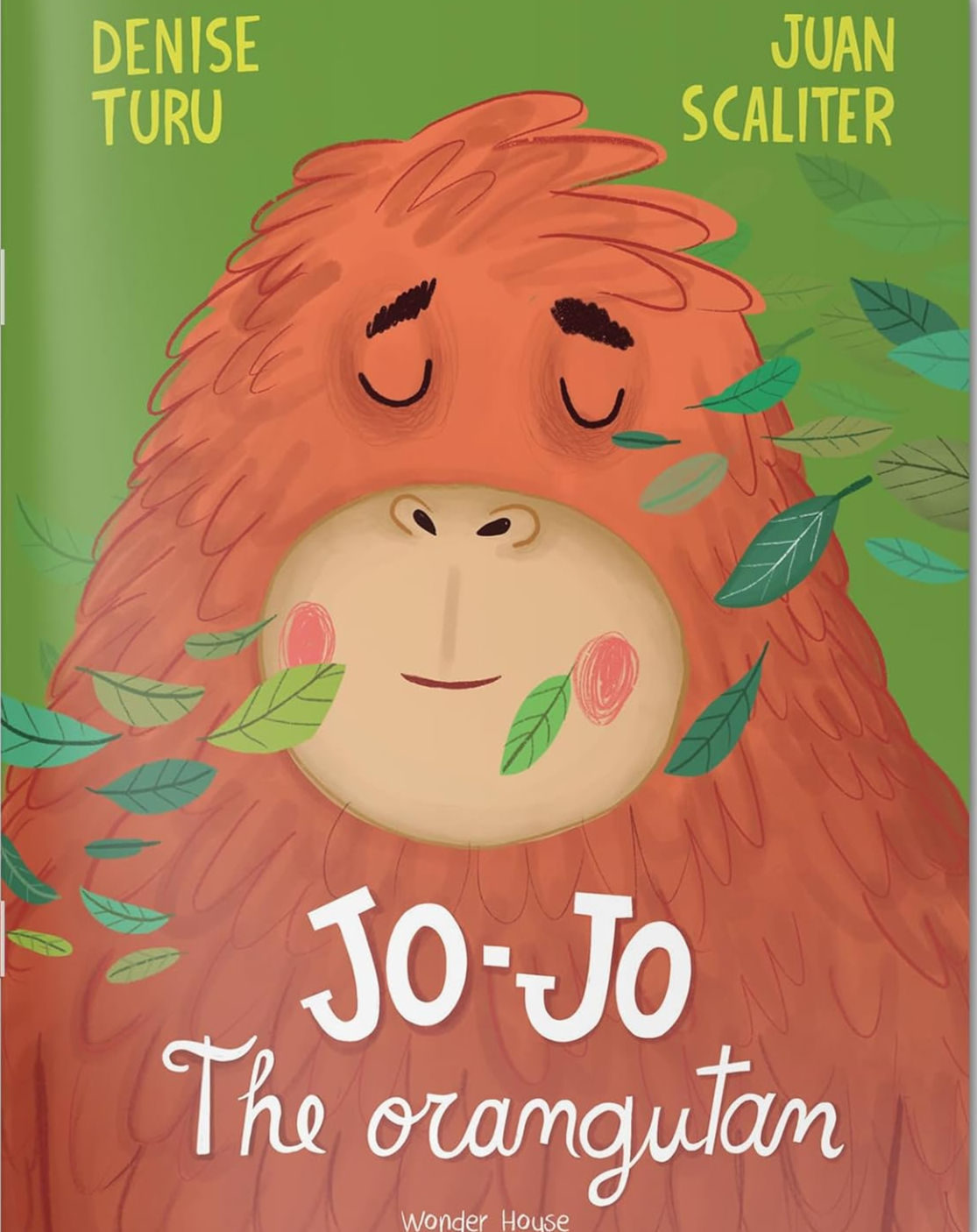 Jo-Jo The Orangutan-11078
