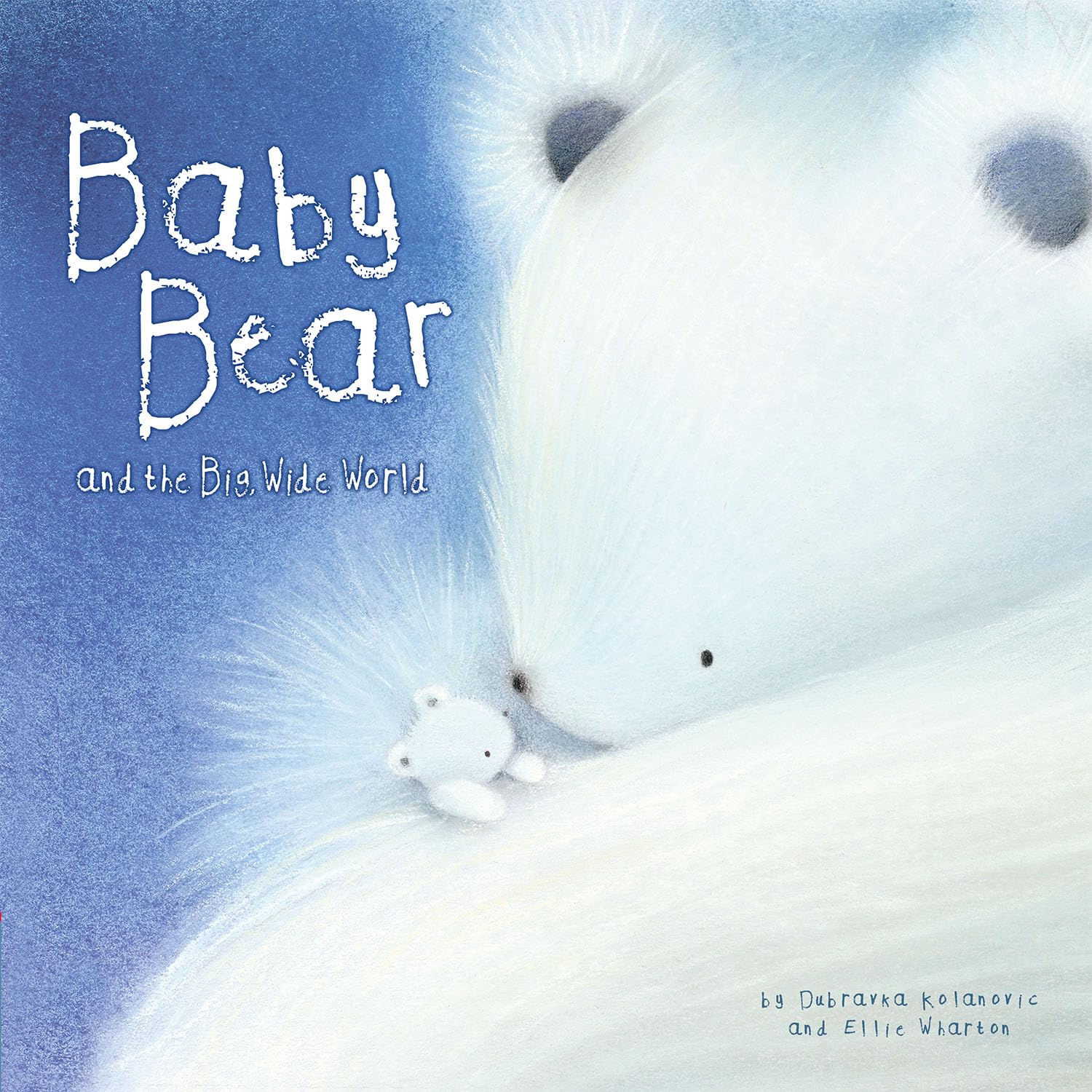 Baby Bear and the Big Wide World-12906