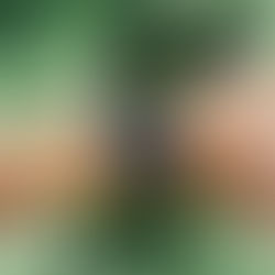 Shock of all shocks.