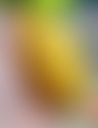 I did something amazing. You should know about it.