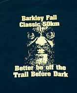 BFC logo.jpg