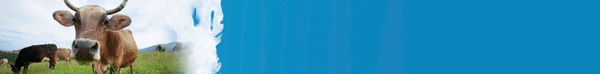 Renewable 1.gif