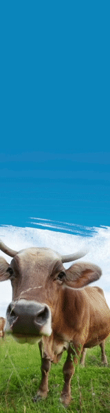 ezgif-4-dc7677b4743c.gif
