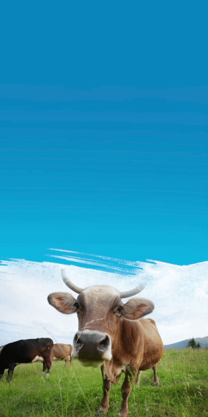 Renewable 3.gif