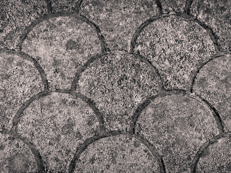 Emotions I would like to Focus on