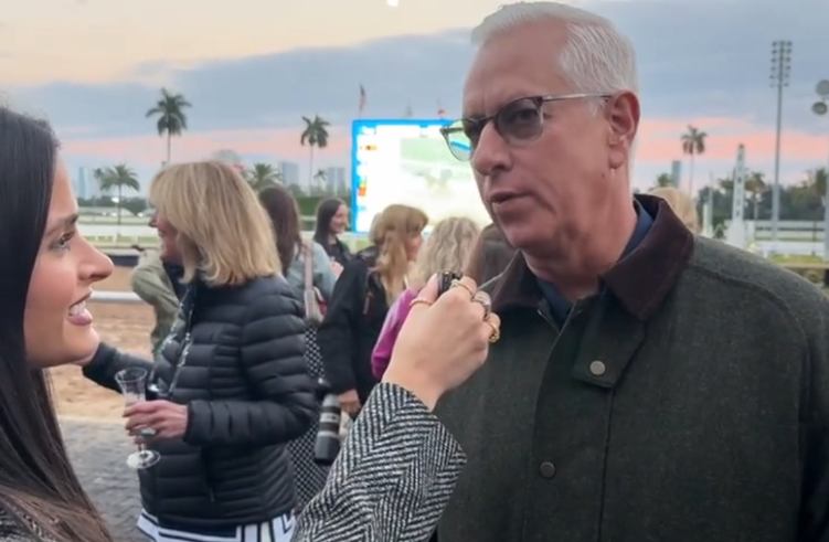 Close-up view of a thoroughbred horse in a stable