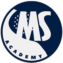 MS Academy.jpeg