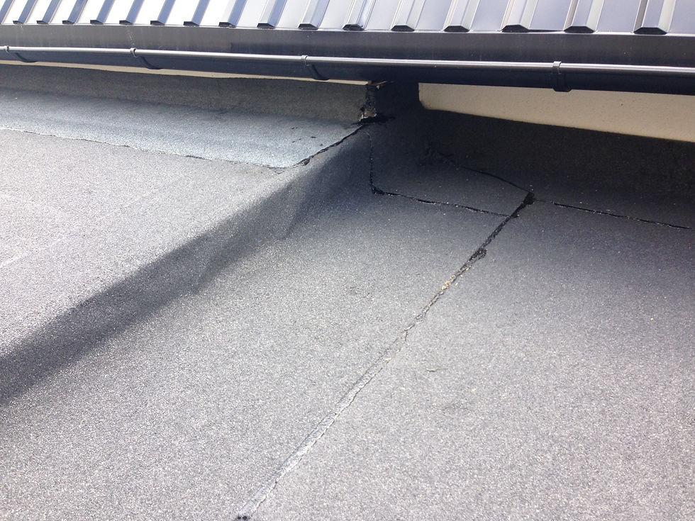 2015-06-27 12.18.10.jpg