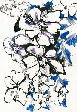 d58c5f_75af7863b3714a11a2ec8603c668d593.