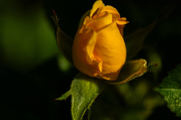 P83A0430.jpg