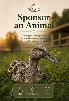 Sponsor a Pet.png