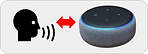 alexa talk.png