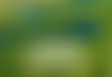 “Cultura e crisi ambientale in America Latina”: proroga contributi per i Quaderni Culturali IILA