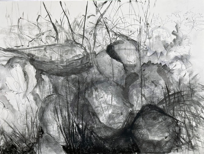 _Pond Edge_, Charcoal and conte on paper, 24x18.jpg