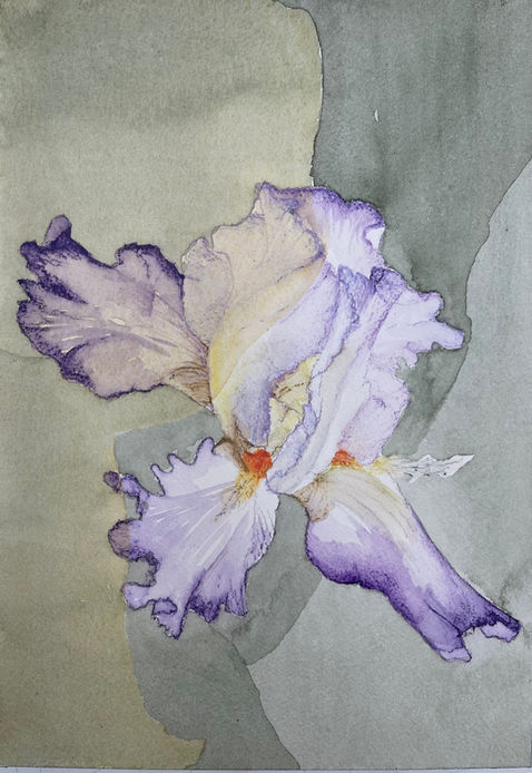 Iris, Watercolor and Watercolor pencil, 10_ x 7_.jpeg