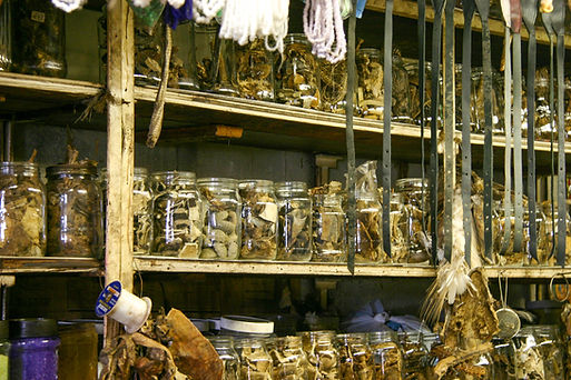 Witch Doctor Supply Store in Johannesburg Sells Plants, Parts of Animal and Herbs for Trad
