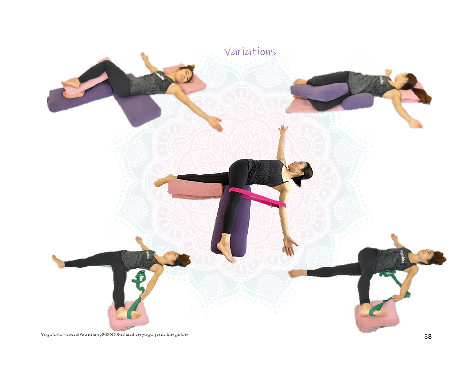 本: リストラティブヨガ リラクゼーション　YOGA リストラティブヨガのバイブル