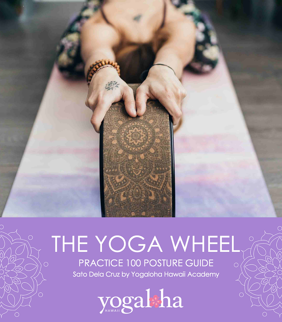 Yoga Wheel practice guidebook　ヨガウィールプラクティスガイド