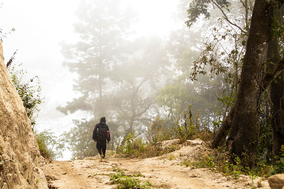 Person in black gear walking on a misty forest trail surrounded by trees and foliage, creating a serene, mysterious atmosphere.