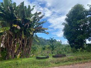 Travelling French Guiana Overland: From Macapá (Brazil) to Suriname in 48 Hours