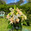 Thumbnail: Designer Choice Tall Vase