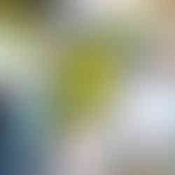 Collage paper scraps