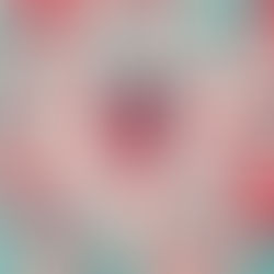 Second Chances at Life and the Power of Solid Organ Transplantation