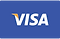 Visa payment logo white text on blue rectangle