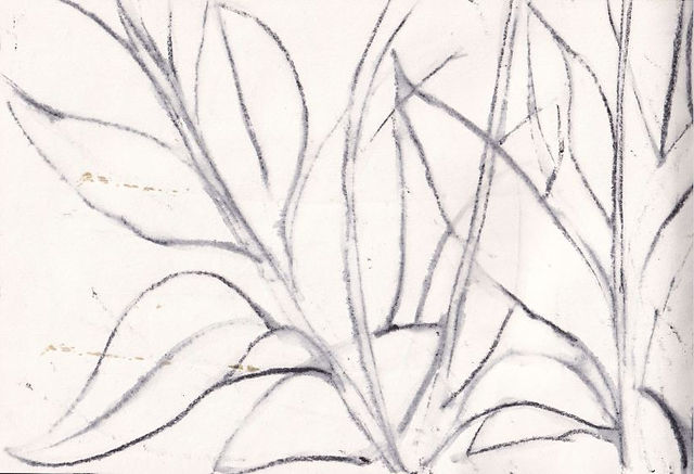 Black and white abstract botanical mixed media drawing