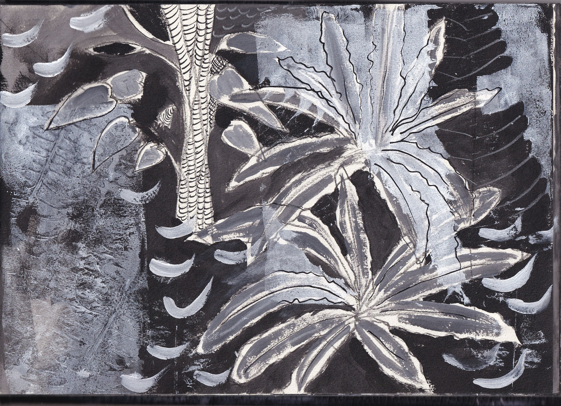Black and white abstract botanical mixed media drawing
