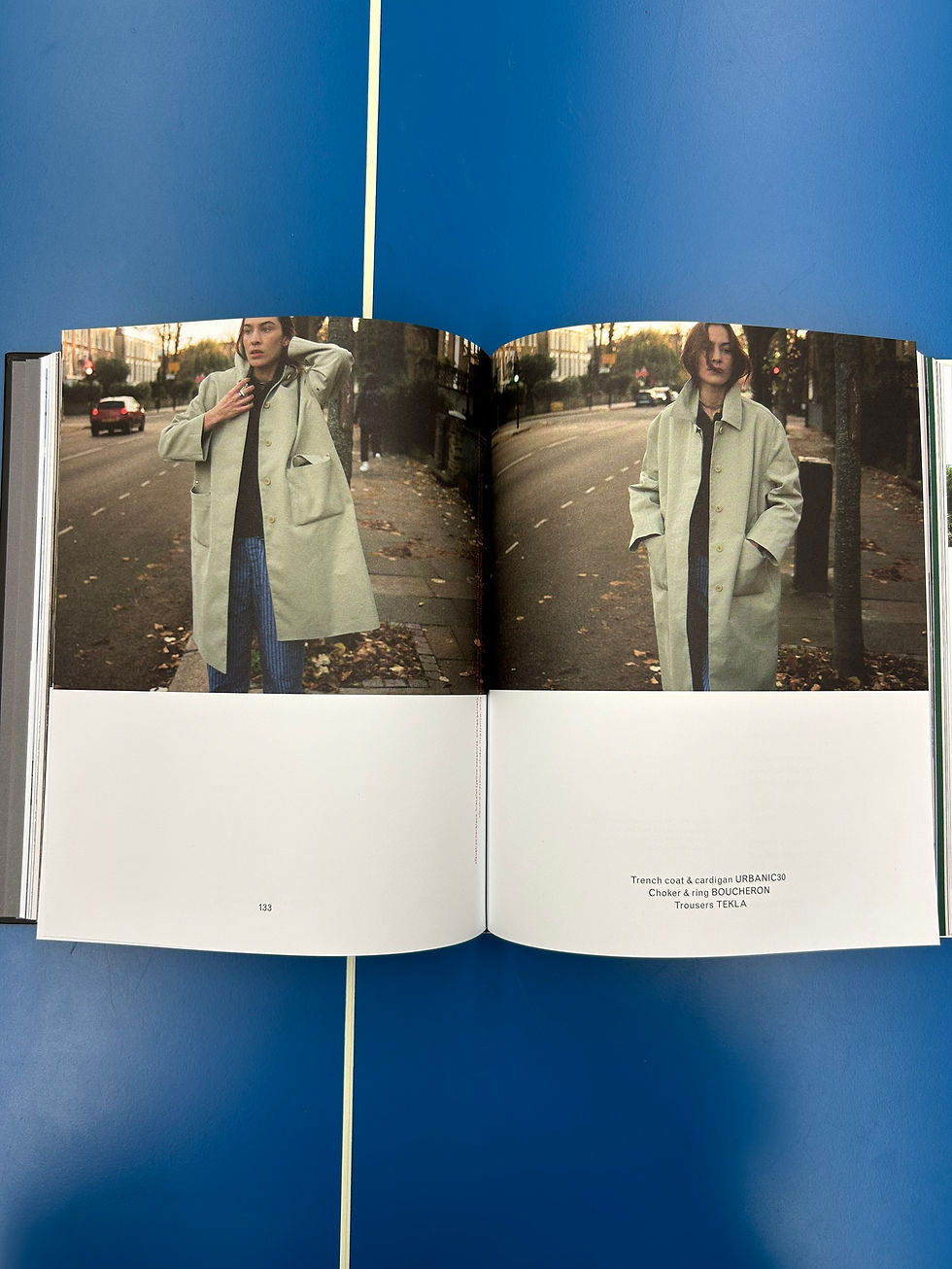 サムネイル： MARFA JOURNAL #23 (Joanna Hogg by Esther Theaker)