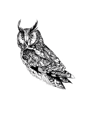IMG_6106.png