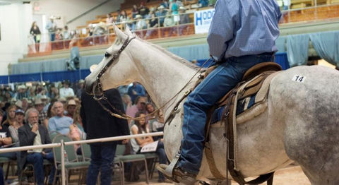 Pendleton Convention Center Cattle Barons photo