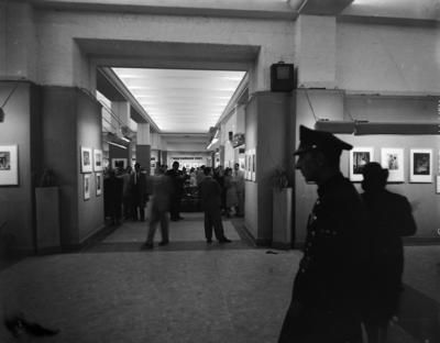 Cineclube: História e Relevância