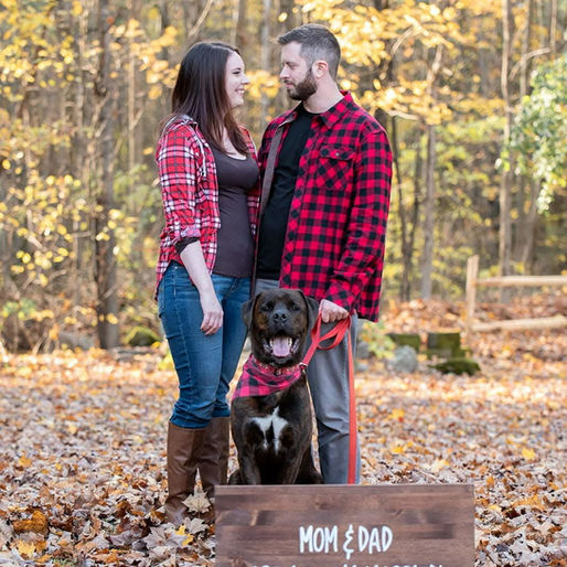 Valentine’s Day Proposals & Engagement Photos: Including Your Dog in the Moment