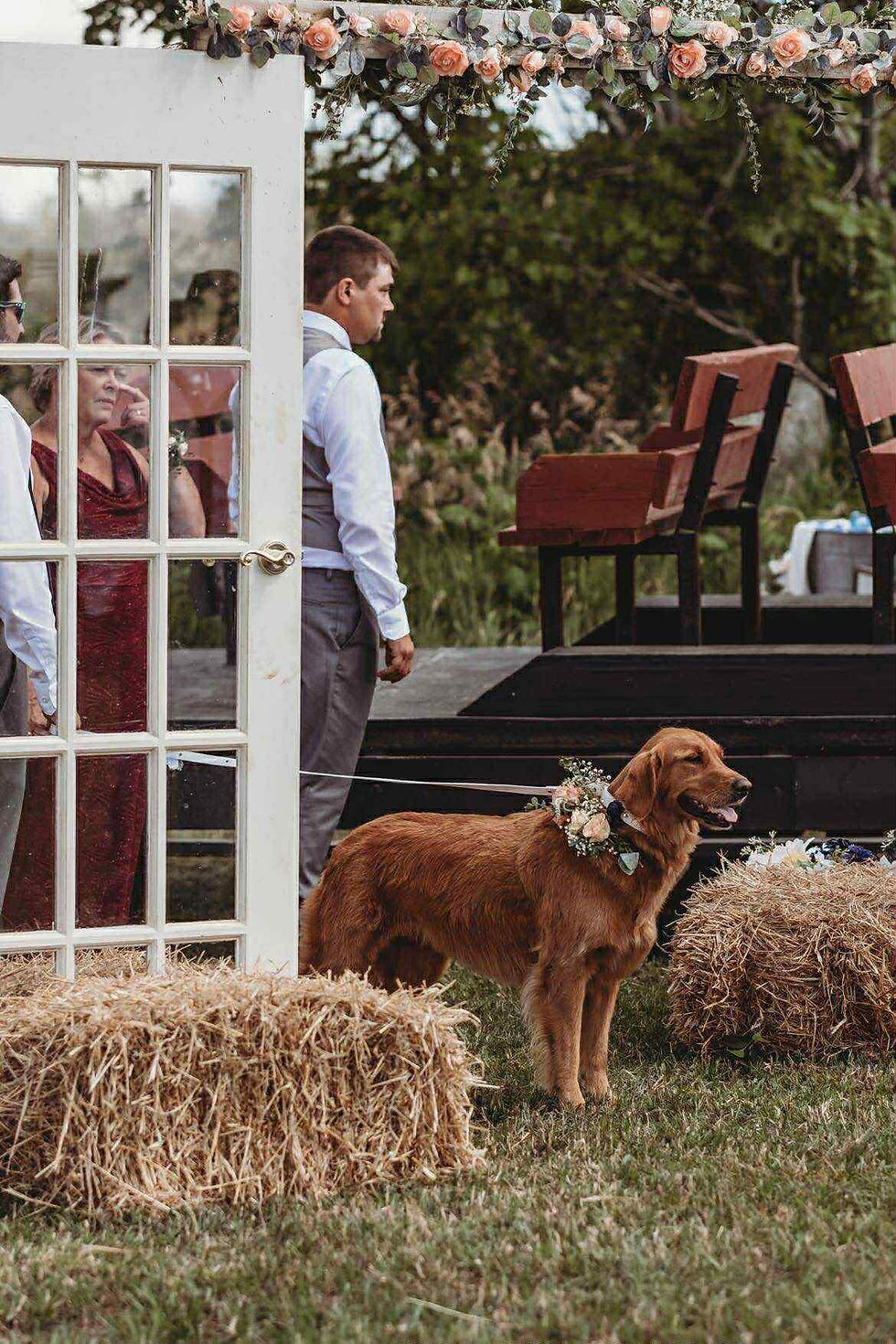 Leni waiting for her mom to come down the aisle, looking picture-pawfect!