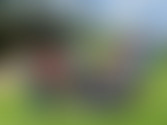 CATERPY RUNNING CLUB 夏合宿フォトレポート