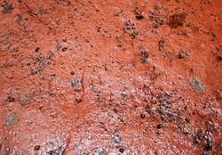 Hormigón impreso continuo