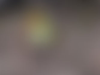 再栽培(*‘ω‘ *)