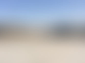 来月から久々のin千葉