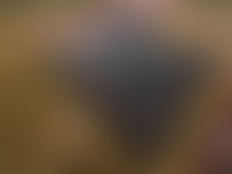 ソーラーシェアリングのお手伝いします☆