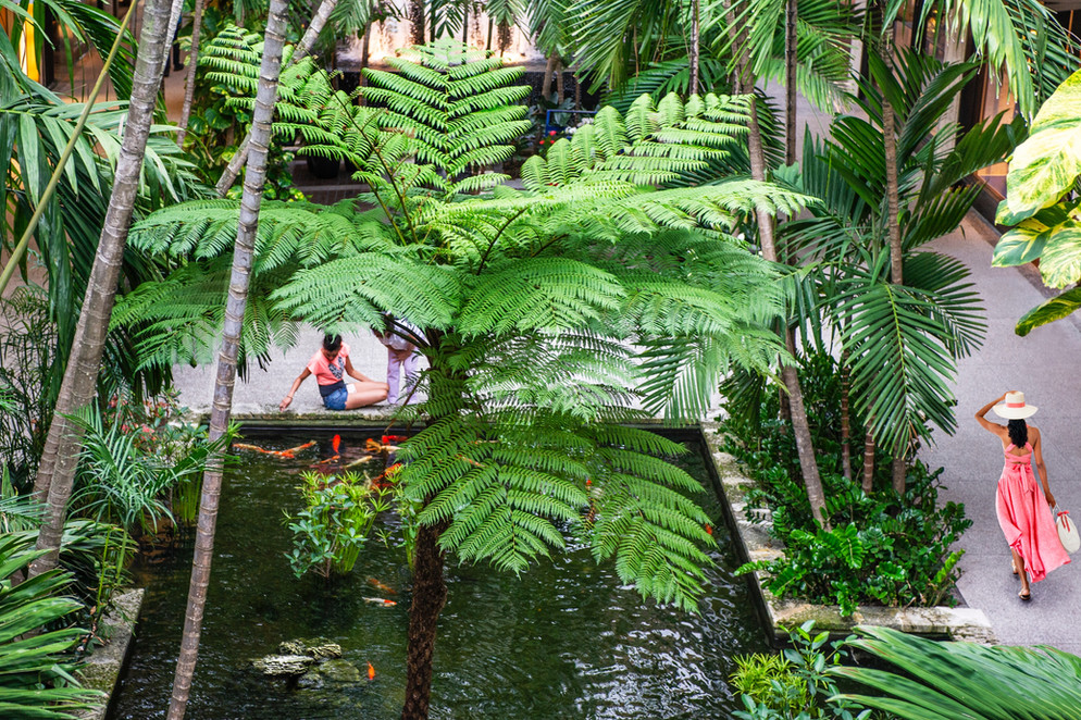 View through palm trees with two women walking