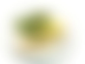 Snapper with Lemon Herb Sauce