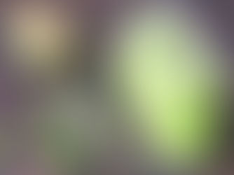 Creamy Avocado Smoothie