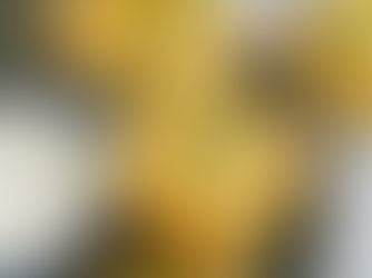 Broccoli Cheddar Quinoa Bites