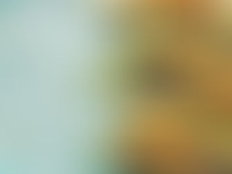 Grilled Corn and Zucchini Salad