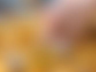 Peanut Butter Stuffed Chocolate Covered Dates