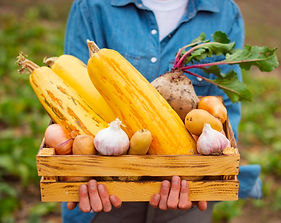 Produce Delivery & Pick Up Services